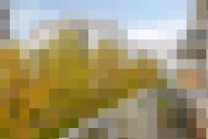Clarissenhof 478 Tilburg thumbnail 18