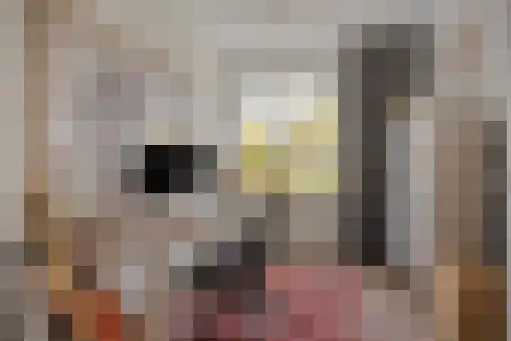 Clarissenhof 478 Tilburg thumbnail 22