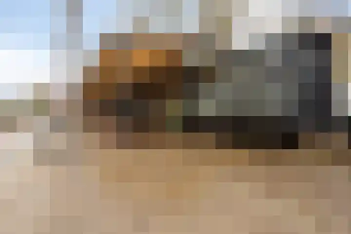 Clarissenhof 478 Tilburg thumbnail 25