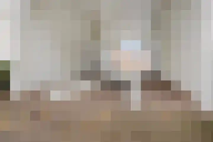Clarissenhof 478 Tilburg thumbnail 28