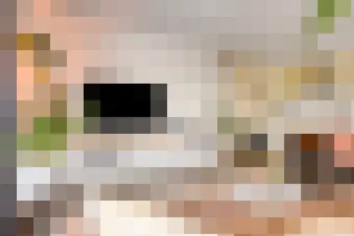 Clarissenhof 478 Tilburg thumbnail 6