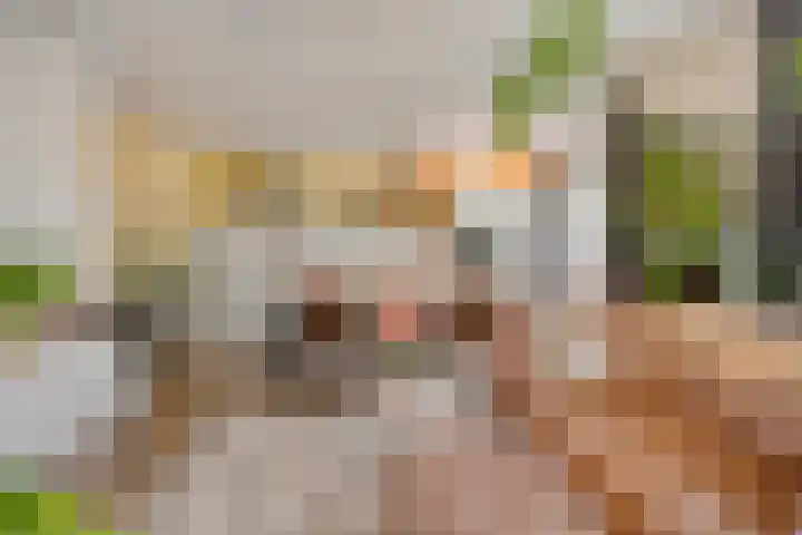 Clarissenhof 478 Tilburg thumbnail 8