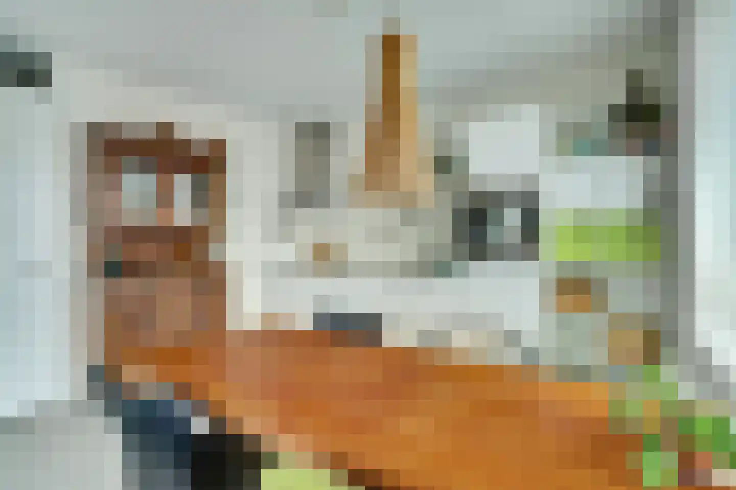 Clarissenhof 481 Tilburg thumbnail 11