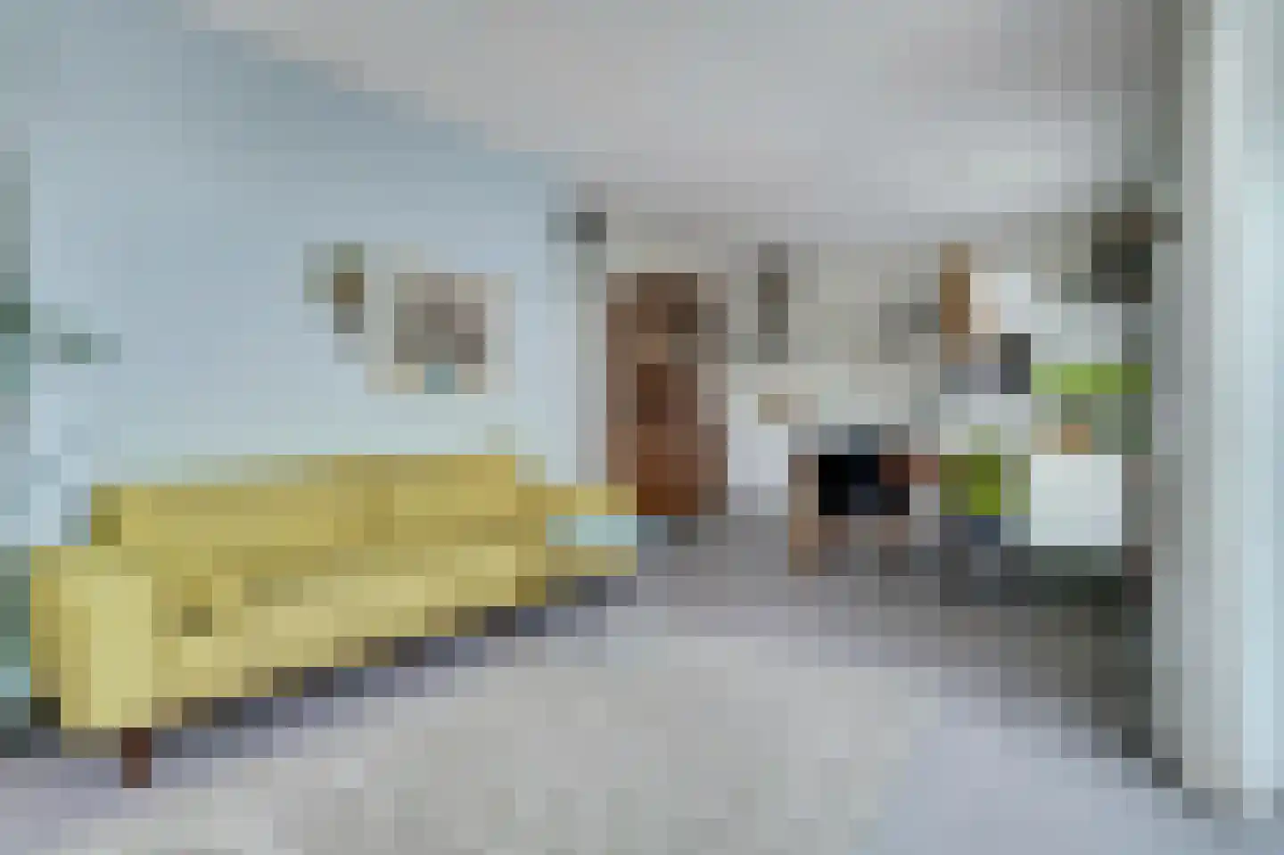 Clarissenhof 481 Tilburg thumbnail 6