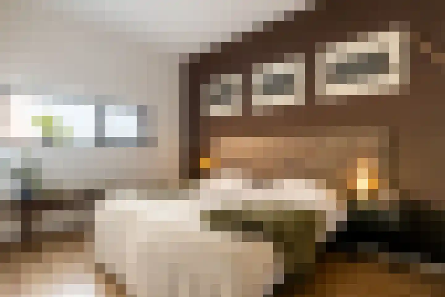 Clarissenhof 9 Vianen thumbnail 13