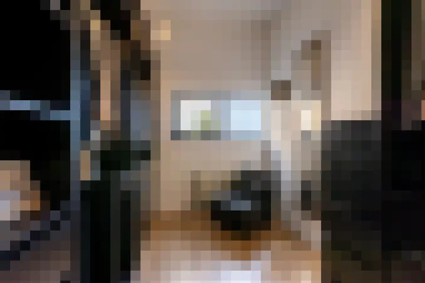 Clarissenhof 9 Vianen thumbnail 15