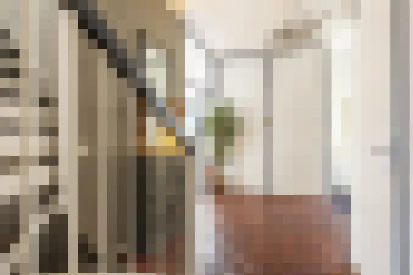 Clarissenhof 9 Vianen thumbnail 18