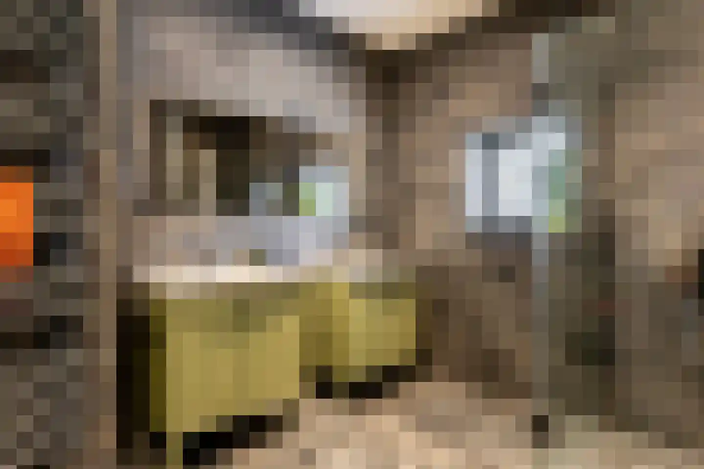 Clarissenhof 9 Vianen thumbnail 40