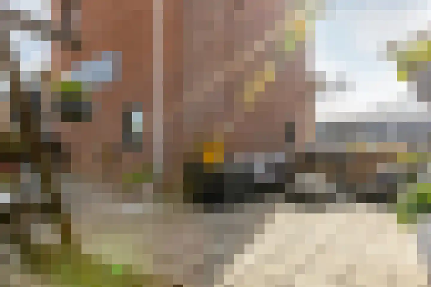 Clarissenhof 9 Vianen thumbnail 44