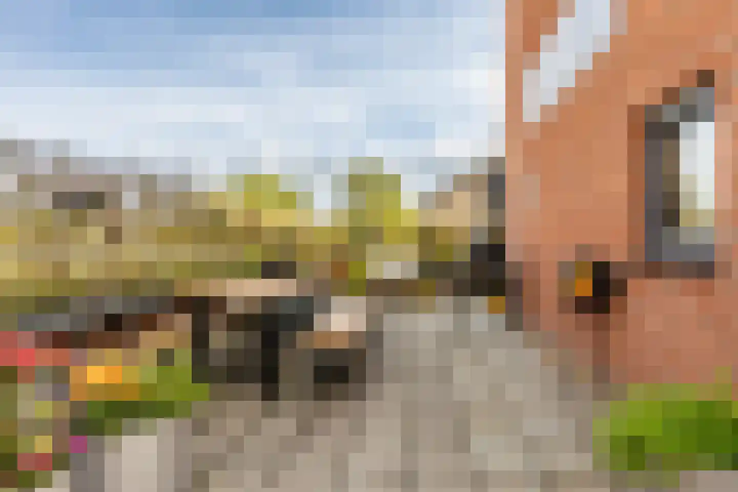 Clarissenhof 9 Vianen thumbnail 48