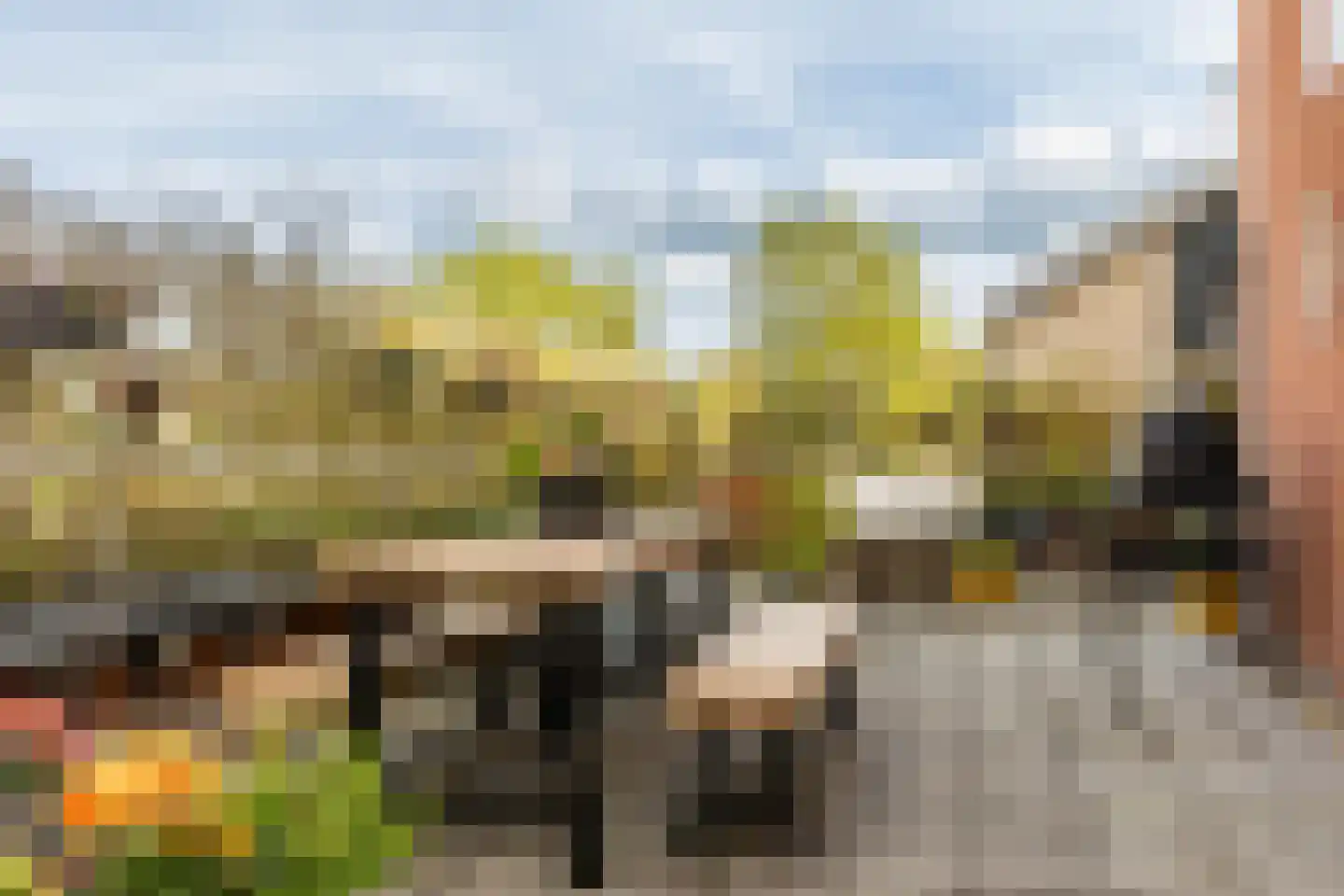 Clarissenhof 9 Vianen thumbnail 5