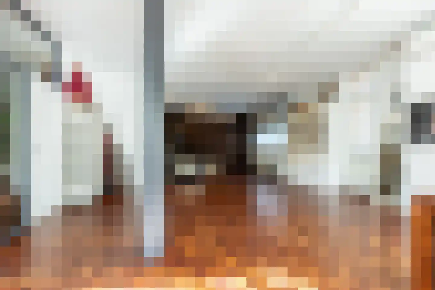 Clarissenhof 9 Vianen thumbnail 8