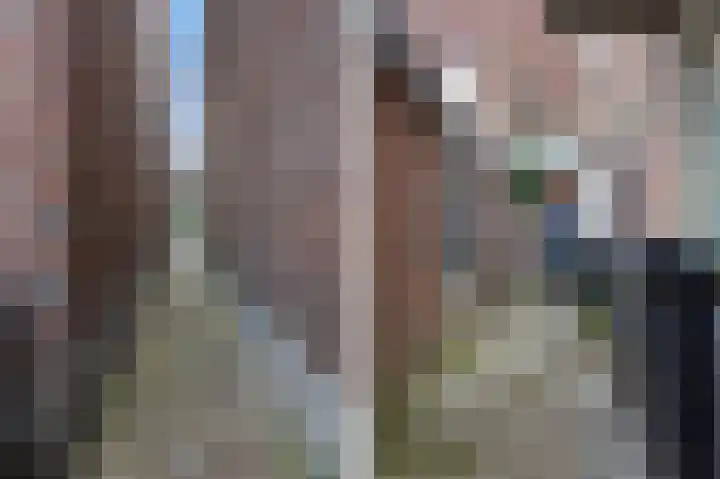 Clarissenstraat 10 a Boxtel thumbnail 19