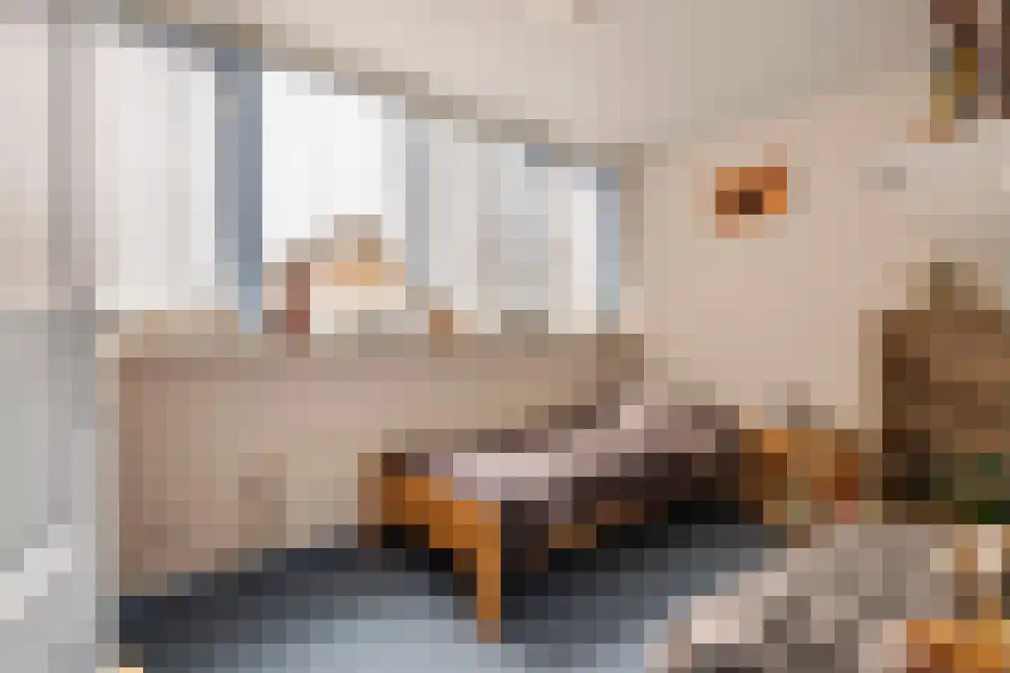 Clarissenstraat 16 Wamel thumbnail 31
