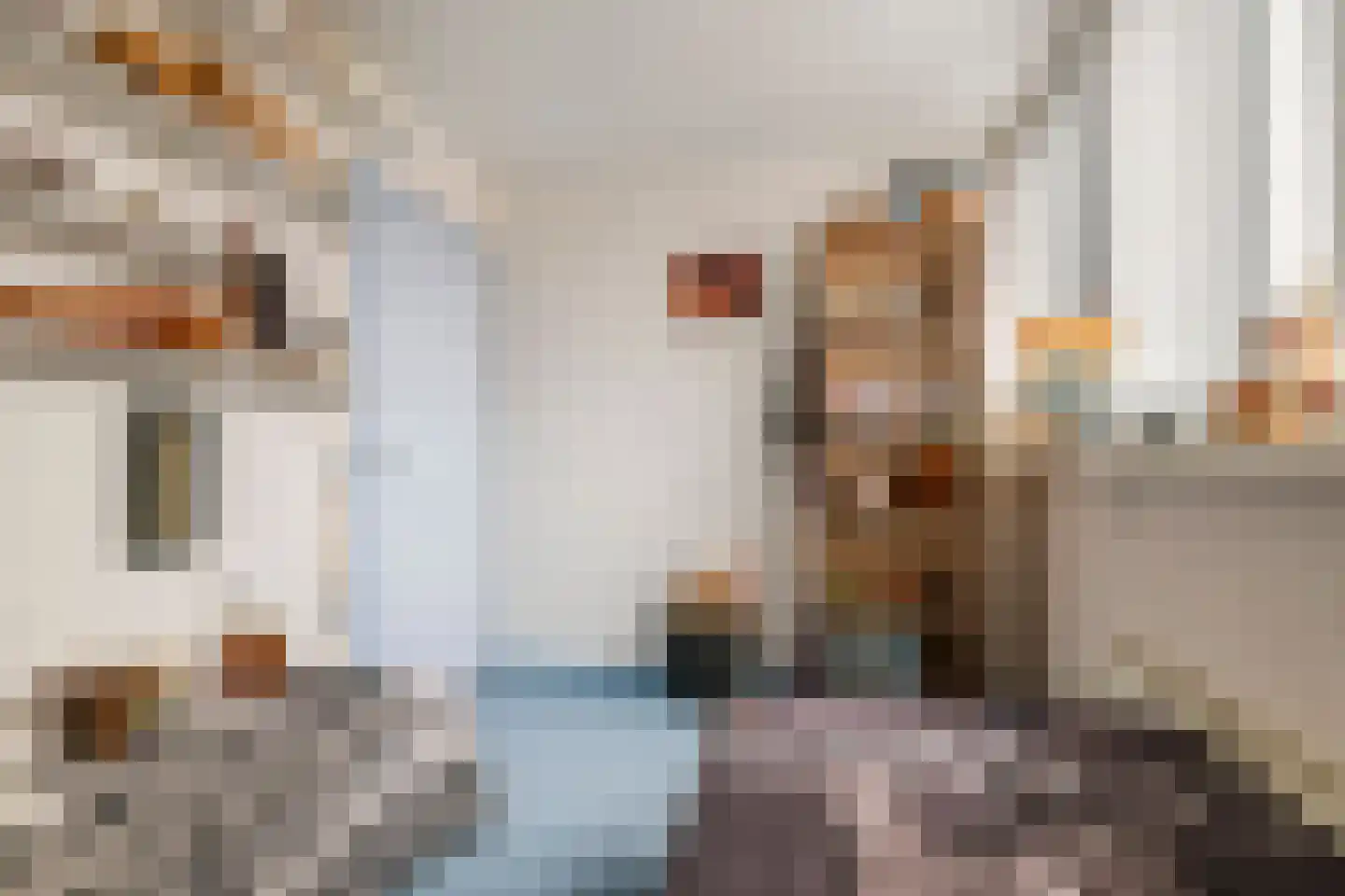 Clarissenstraat 16 Wamel thumbnail 32