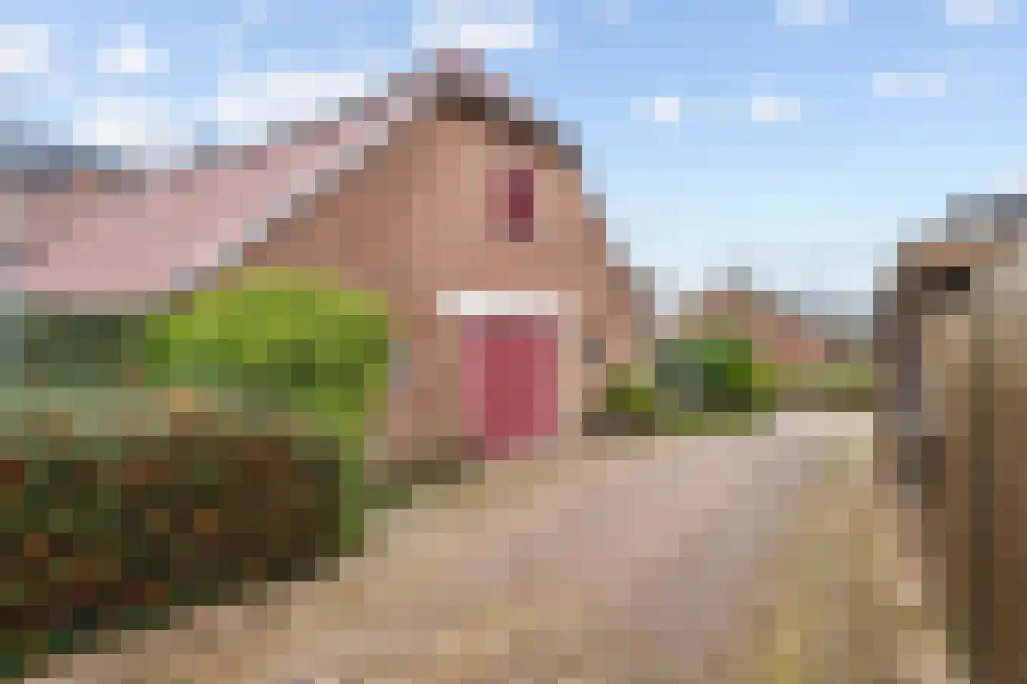 Clarissenstraat 16 Wamel thumbnail 38