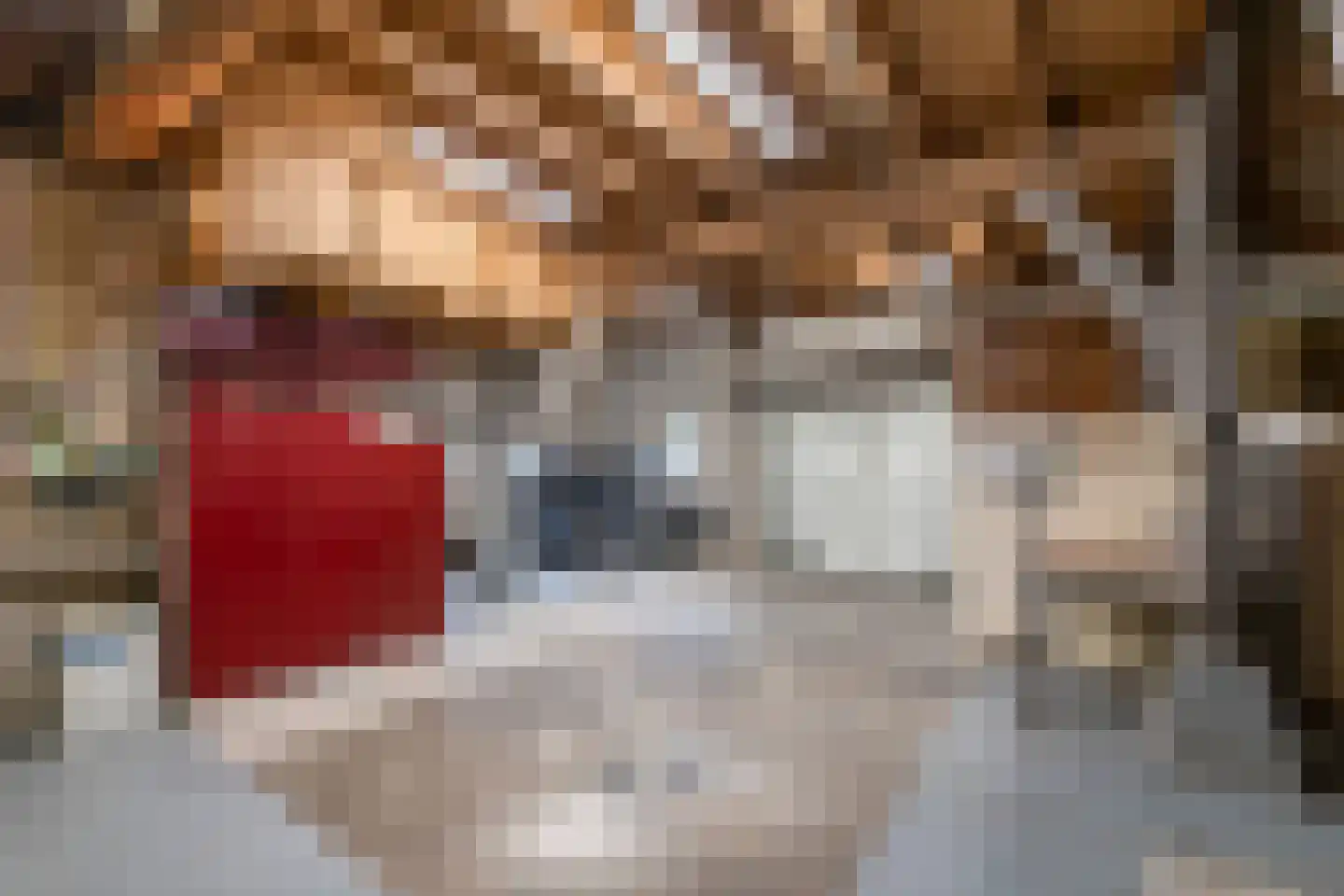 Clarissenstraat 16 Wamel thumbnail 41