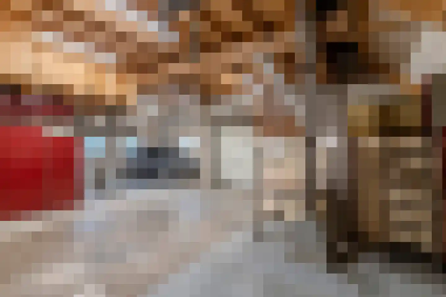 Clarissenstraat 16 Wamel thumbnail 42