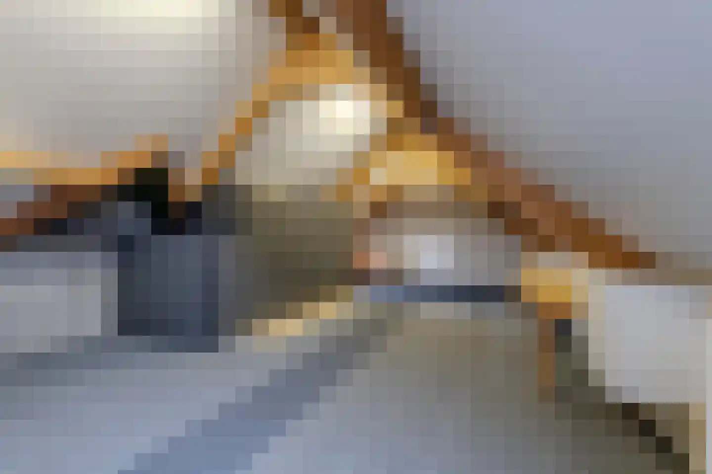 Clarissenstraat 16 Wamel thumbnail 45