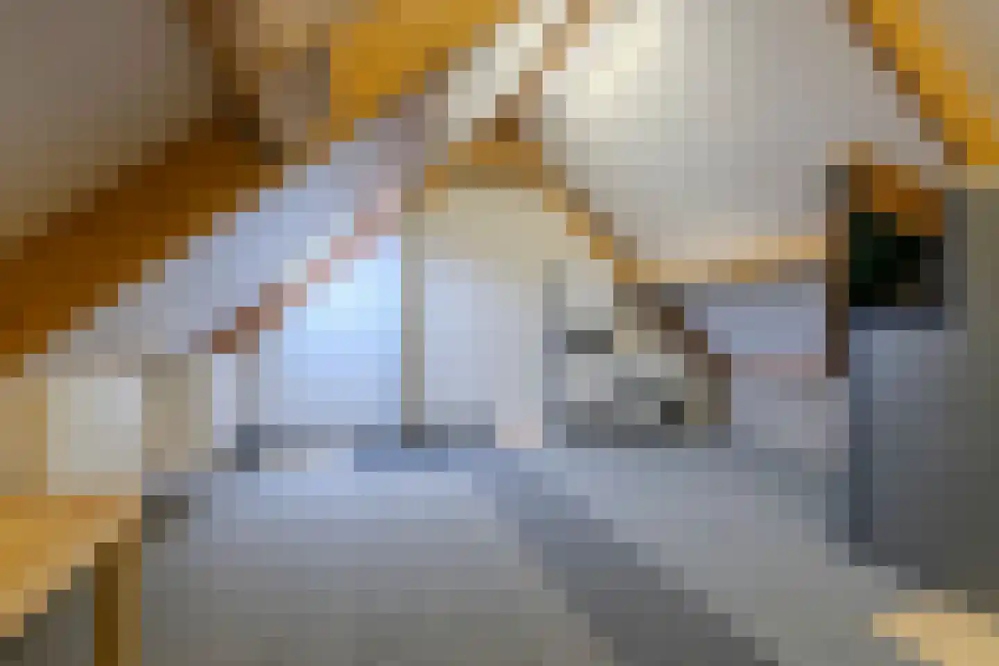 Clarissenstraat 16 Wamel thumbnail 48