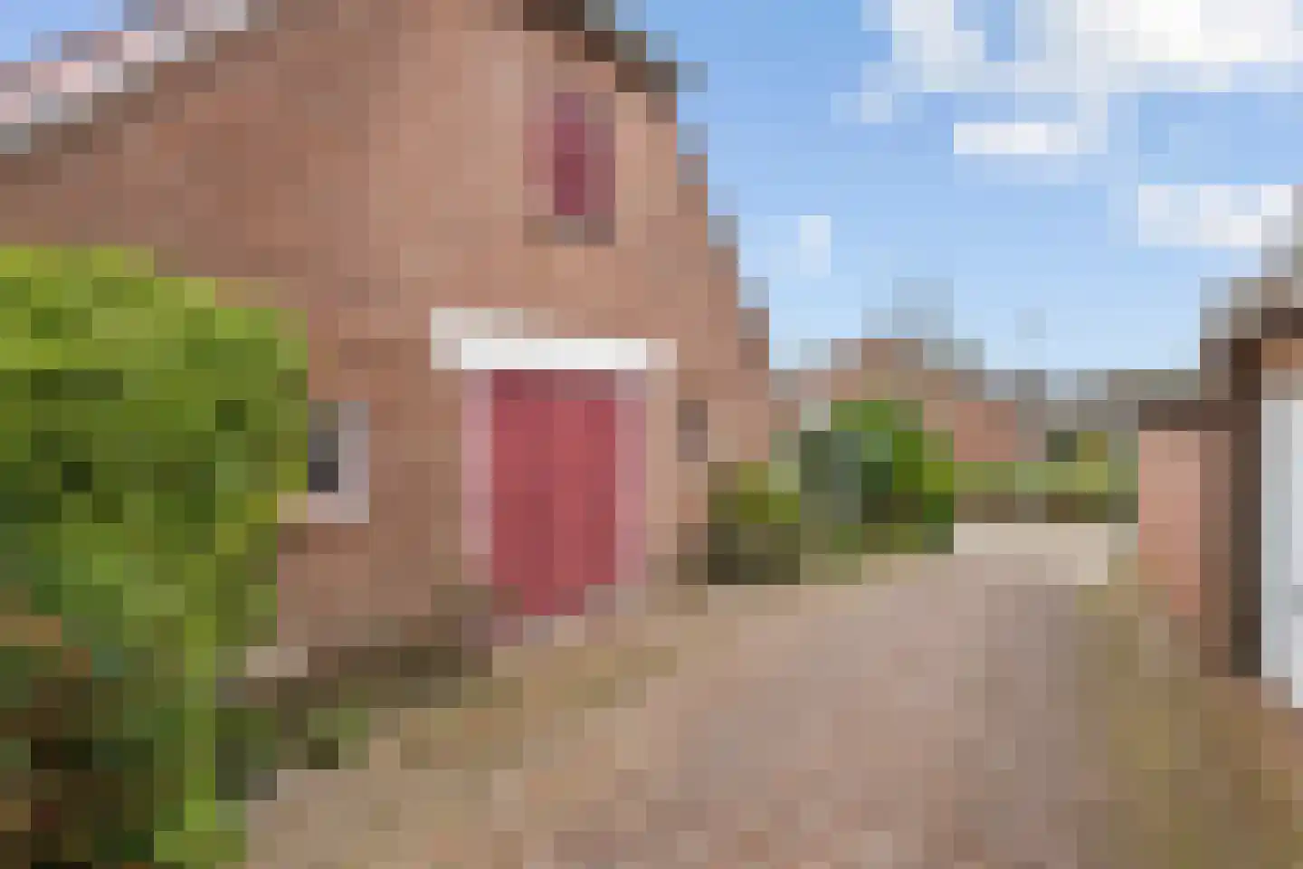 Clarissenstraat 16 Wamel thumbnail 5