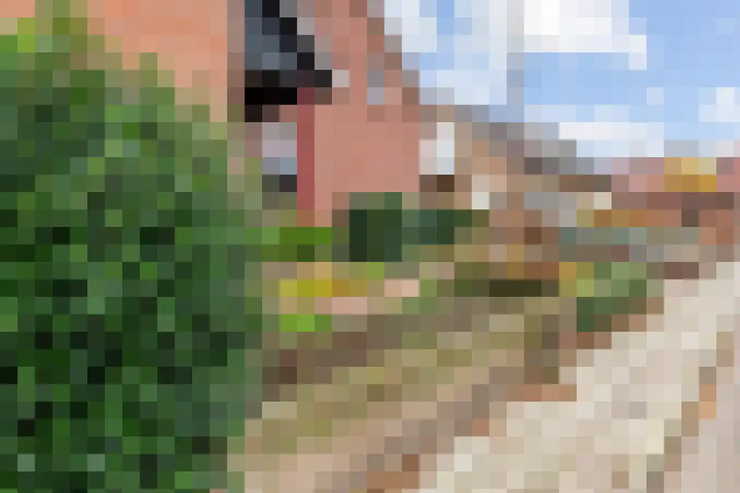 Clarissenstraat 16 Wamel thumbnail 50