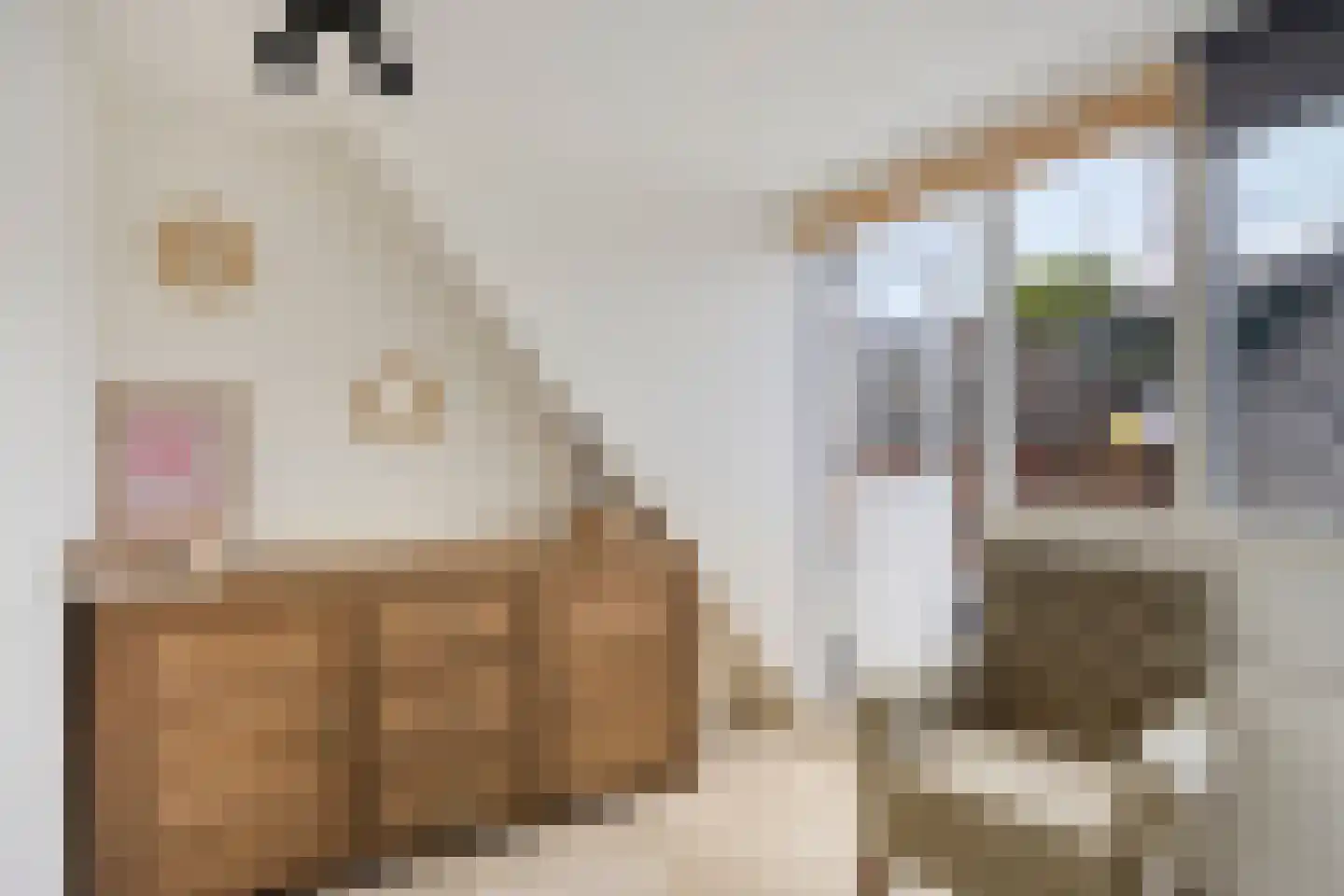 Clarissenstraat 20 Wamel thumbnail 20