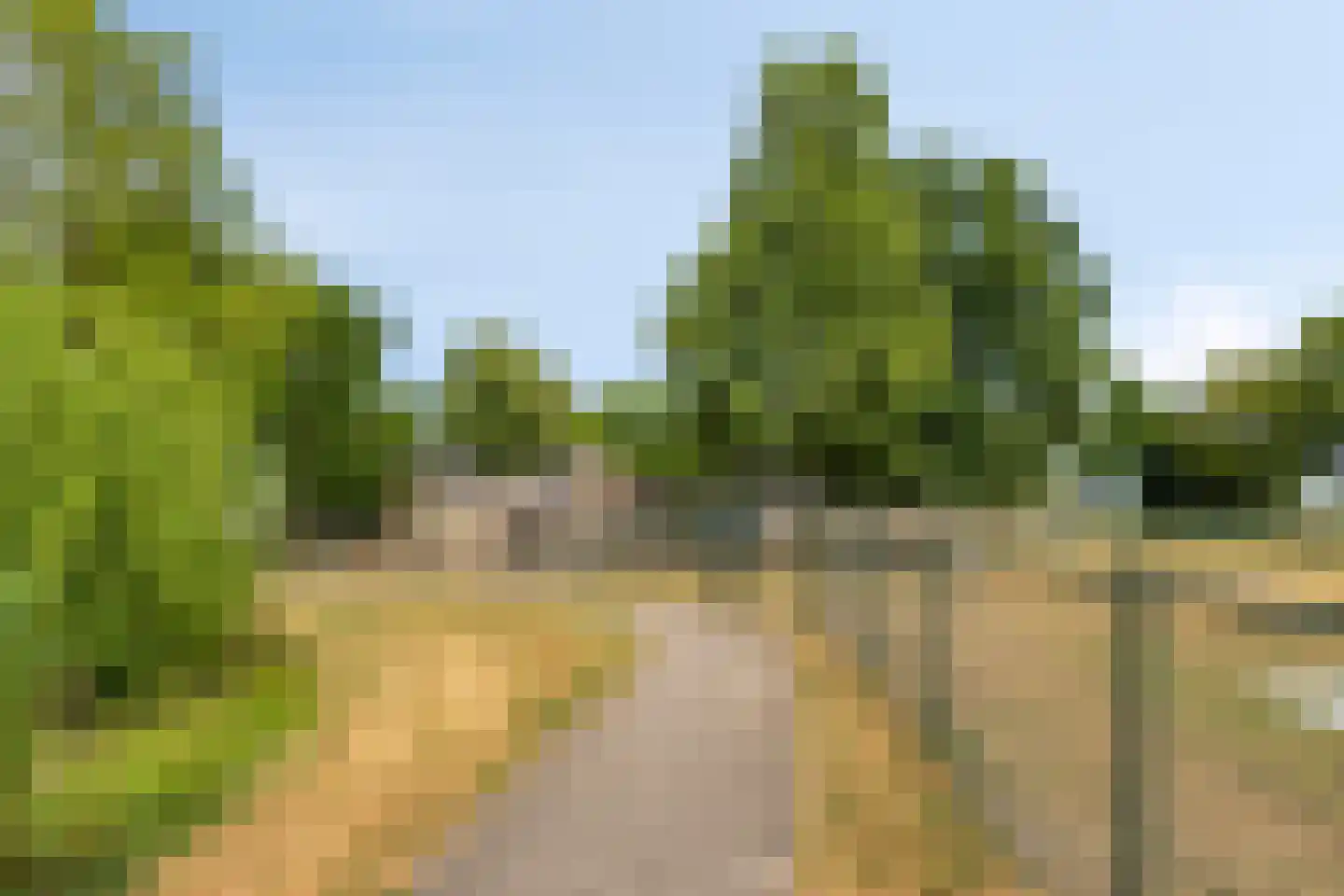 Clarissenstraat 20 Wamel thumbnail 29