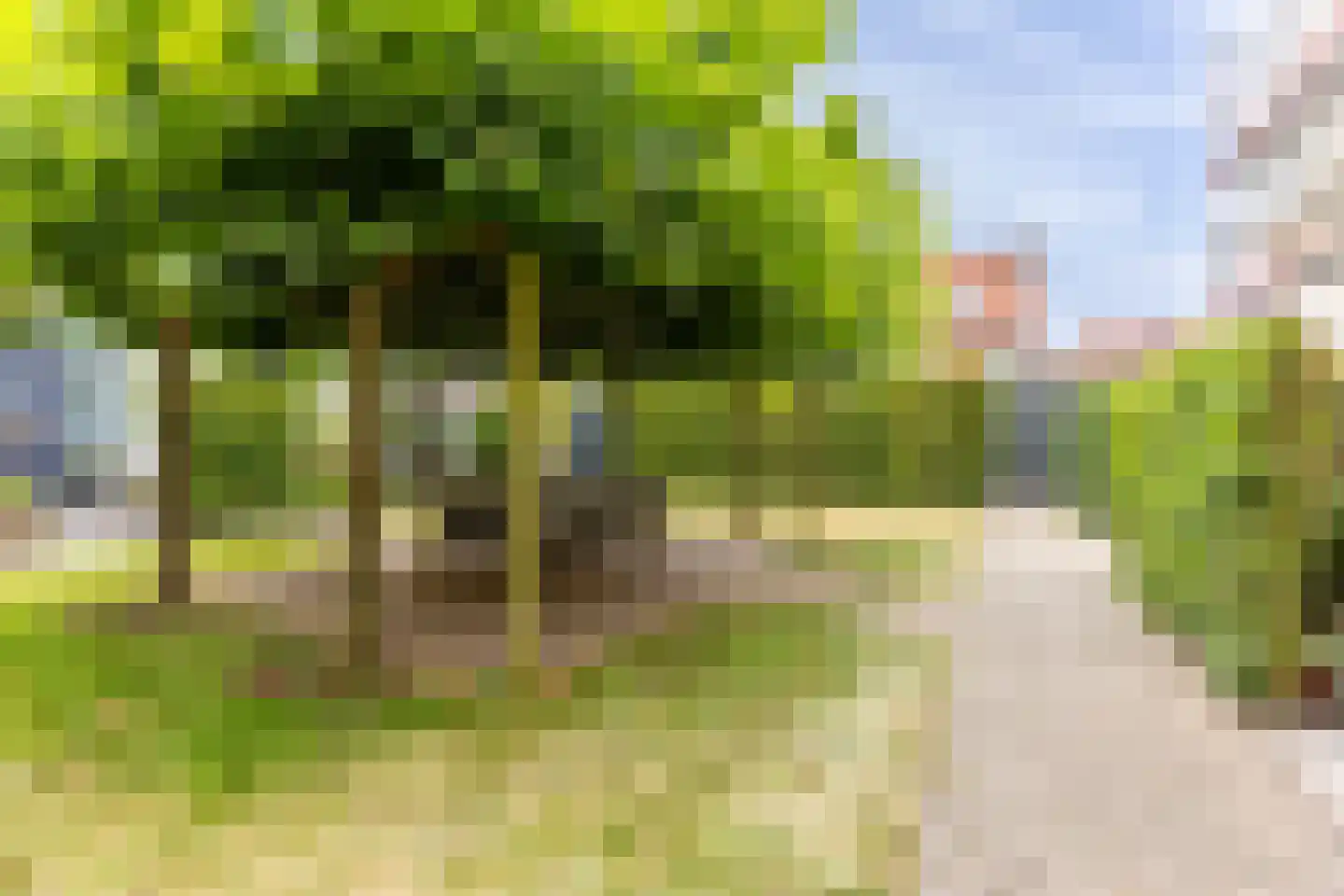 Clarissenstraat 39 Brielle thumbnail 31