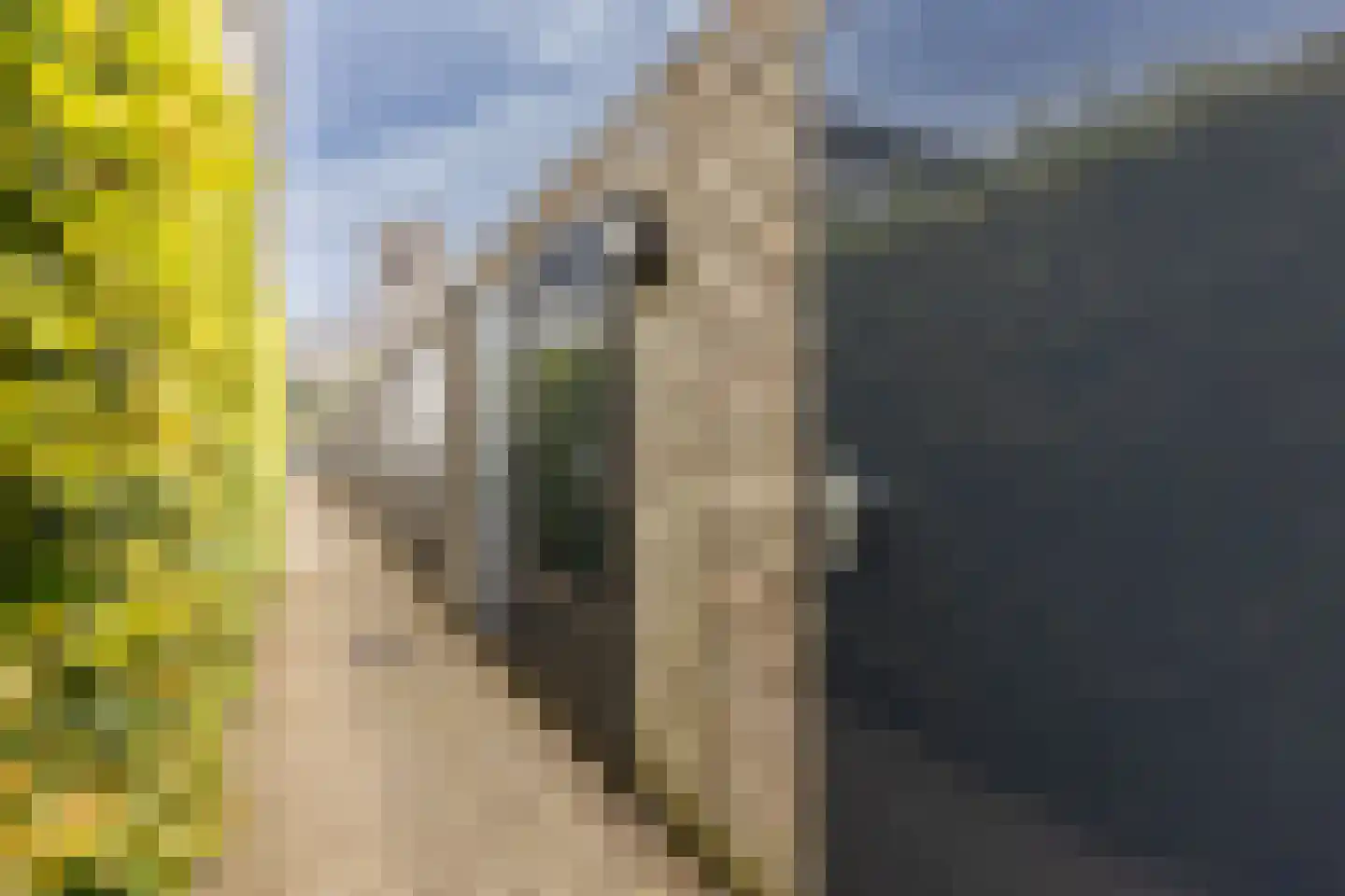 Clarissenstraat 39 Brielle thumbnail 32