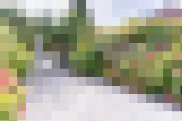 Claroenstekerpad 4 Soest thumbnail 20