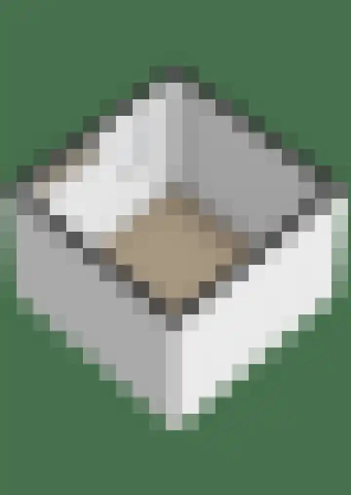 Claroenstekerpad 4 Soest thumbnail 30