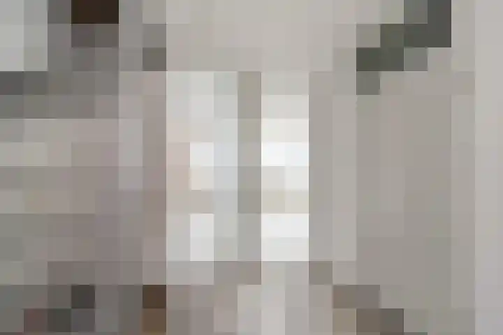 Claroenstekerpad 44 Soest thumbnail 16