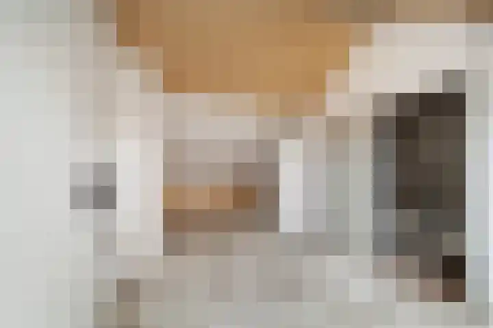 Claroenstekerpad 44 Soest thumbnail 18