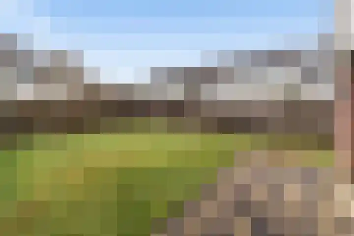 Claroenstekerpad 44 Soest thumbnail 19