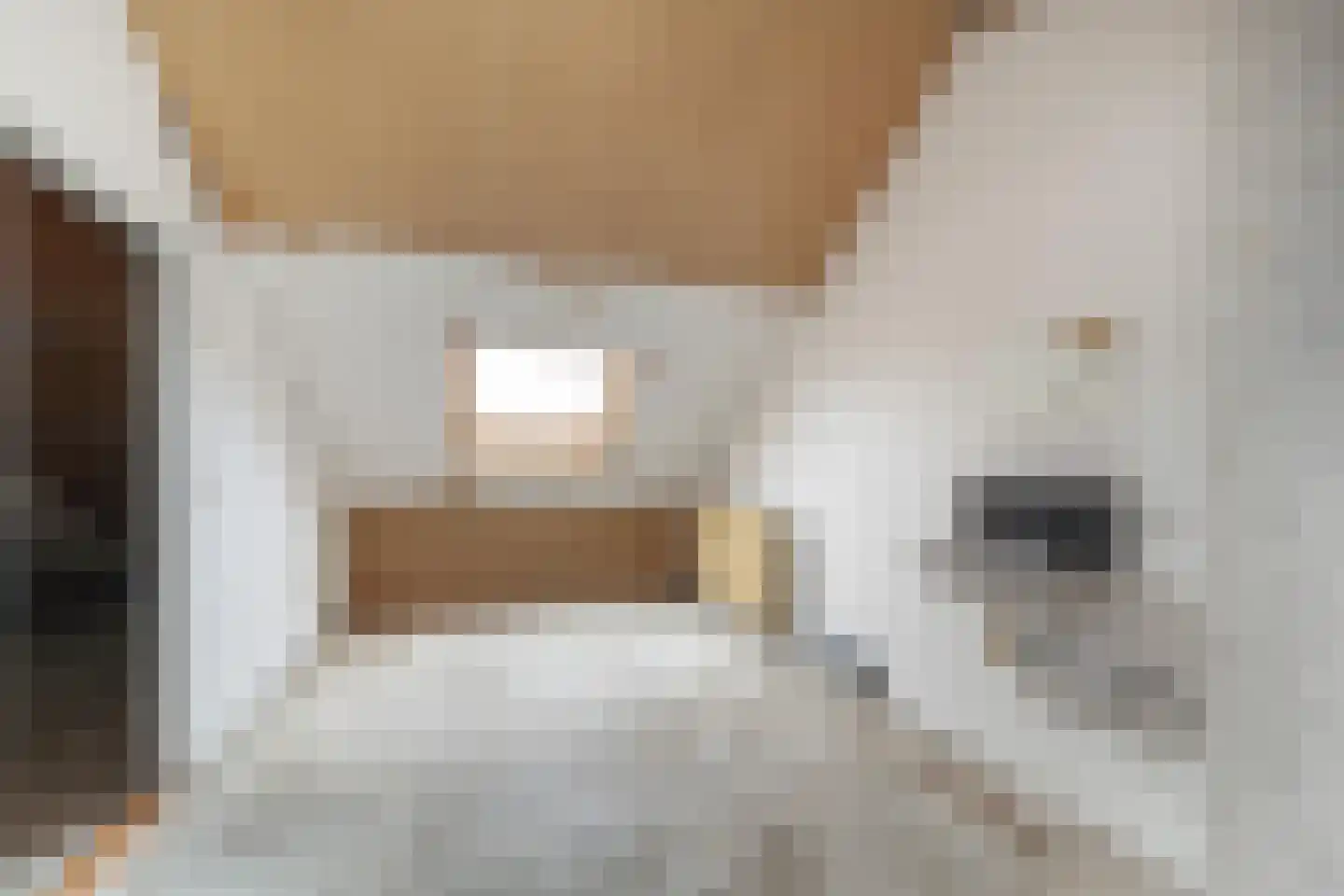 Claroenstekerpad 44 Soest thumbnail 19