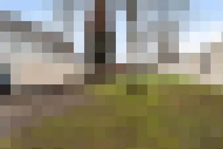 Claroenstekerpad 44 Soest thumbnail 21