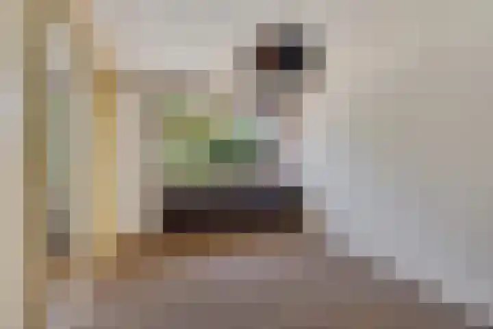 Claroenstekerpad 49 Soest thumbnail 13