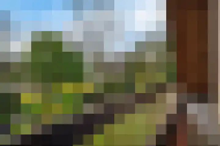 Claroenstekerpad 49 Soest thumbnail 21