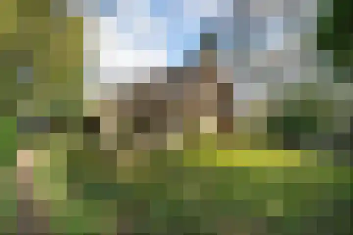 Claroenstekerpad 49 Soest thumbnail 22