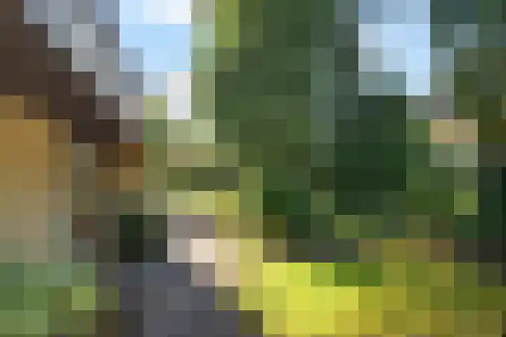 Claroenstekerpad 49 Soest thumbnail 23