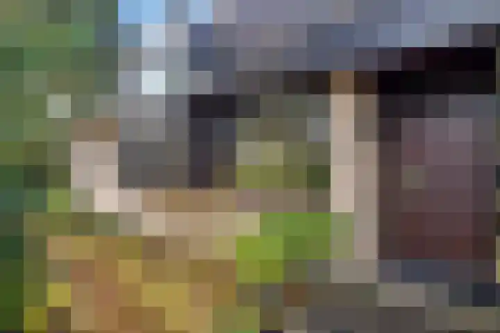 Claroenstekerpad 49 Soest thumbnail 25