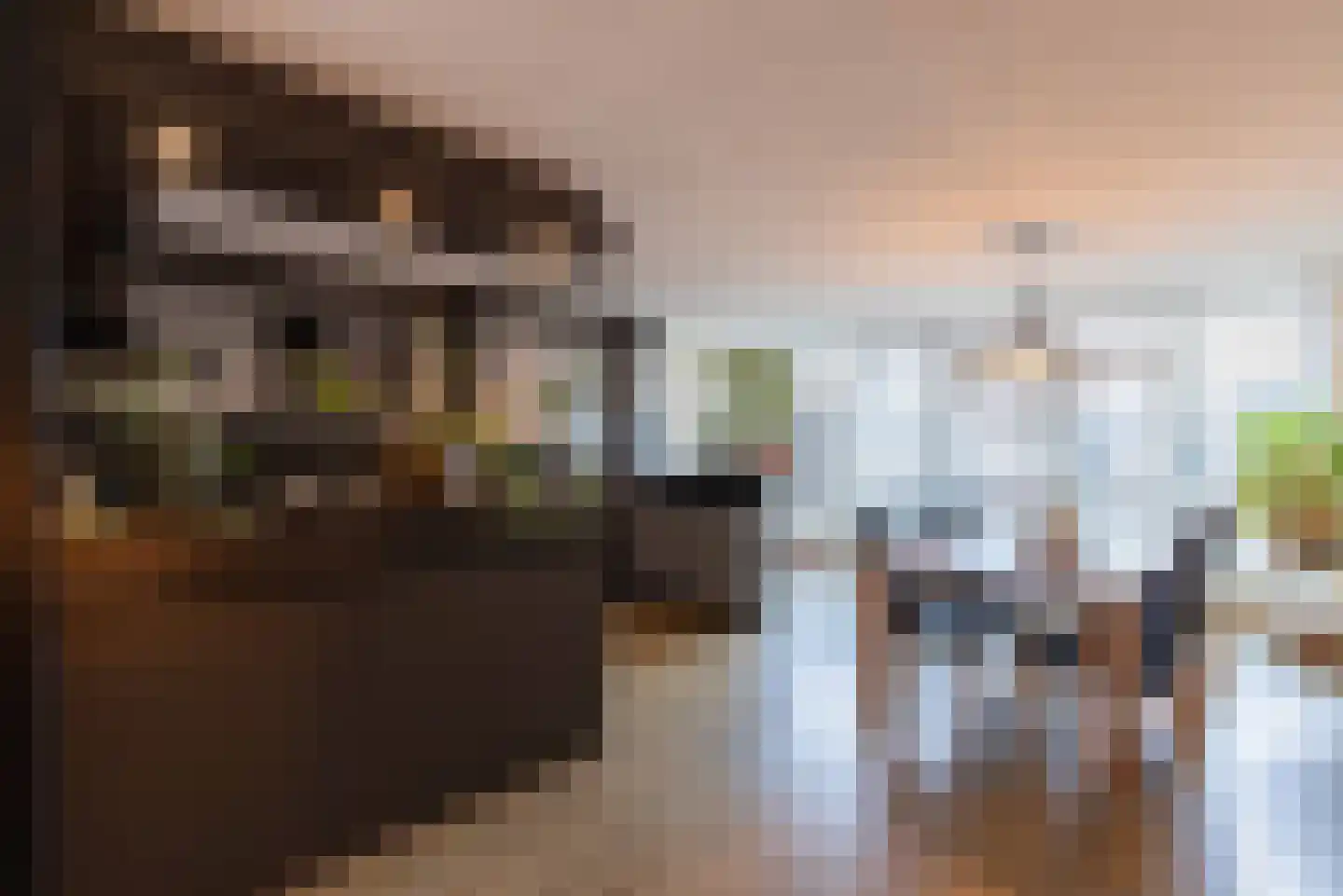 Clasinadreef 13 Tilburg thumbnail 12