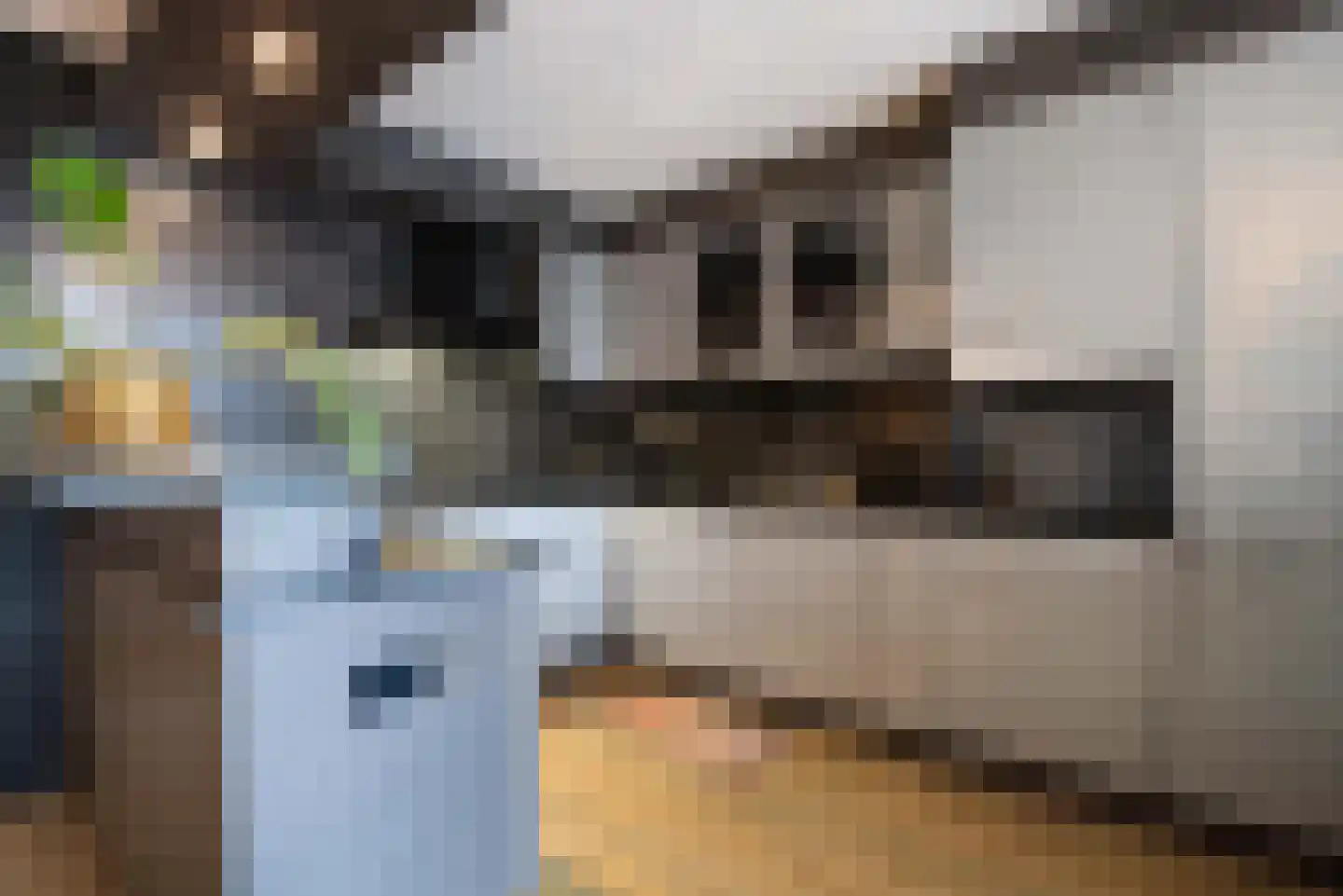Clasinadreef 13 Tilburg thumbnail 15