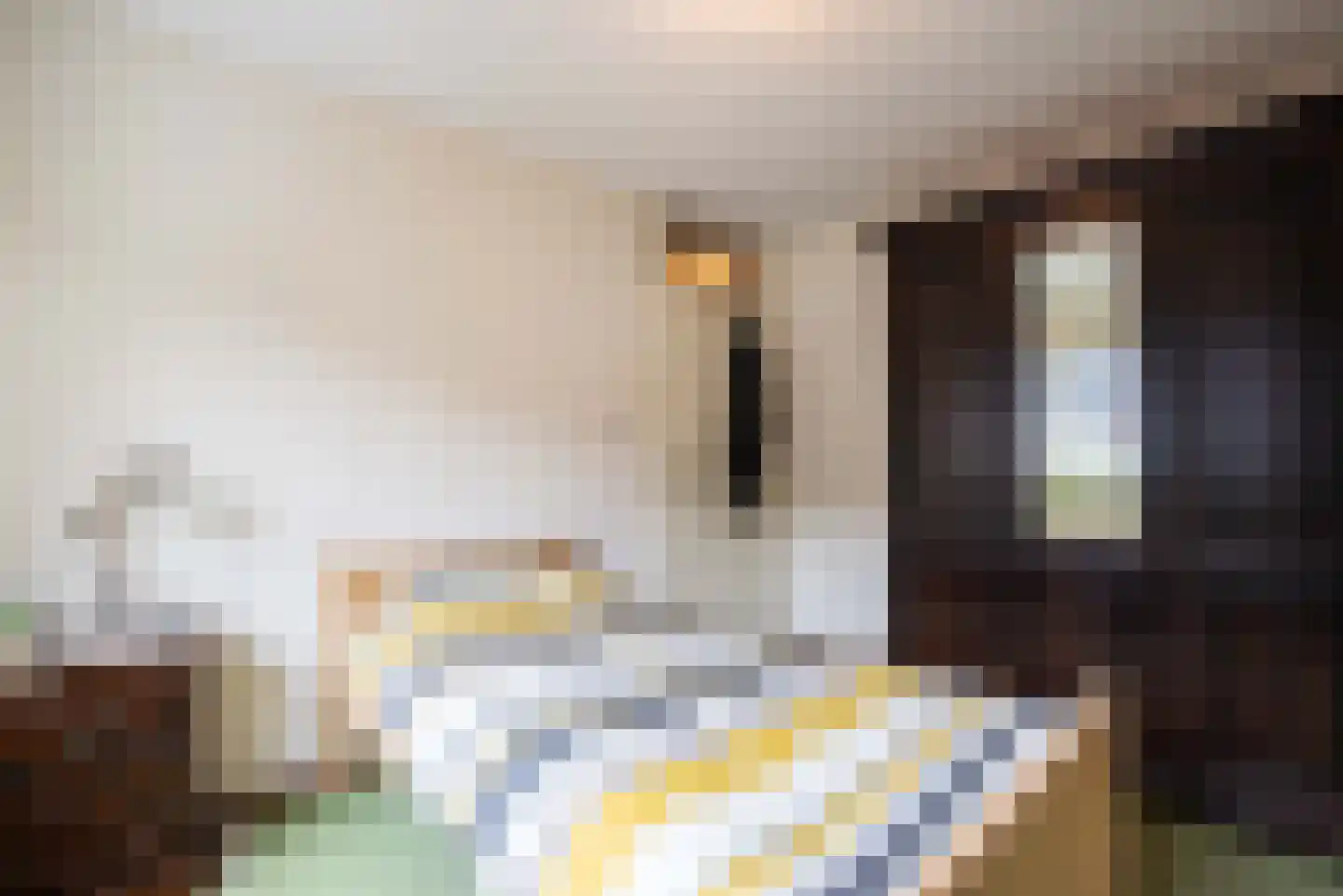 Clasinadreef 13 Tilburg thumbnail 36