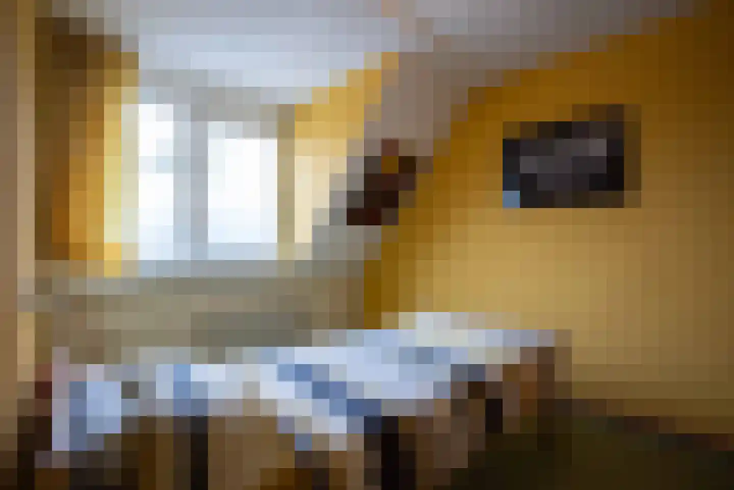 Clasinadreef 13 Tilburg thumbnail 37