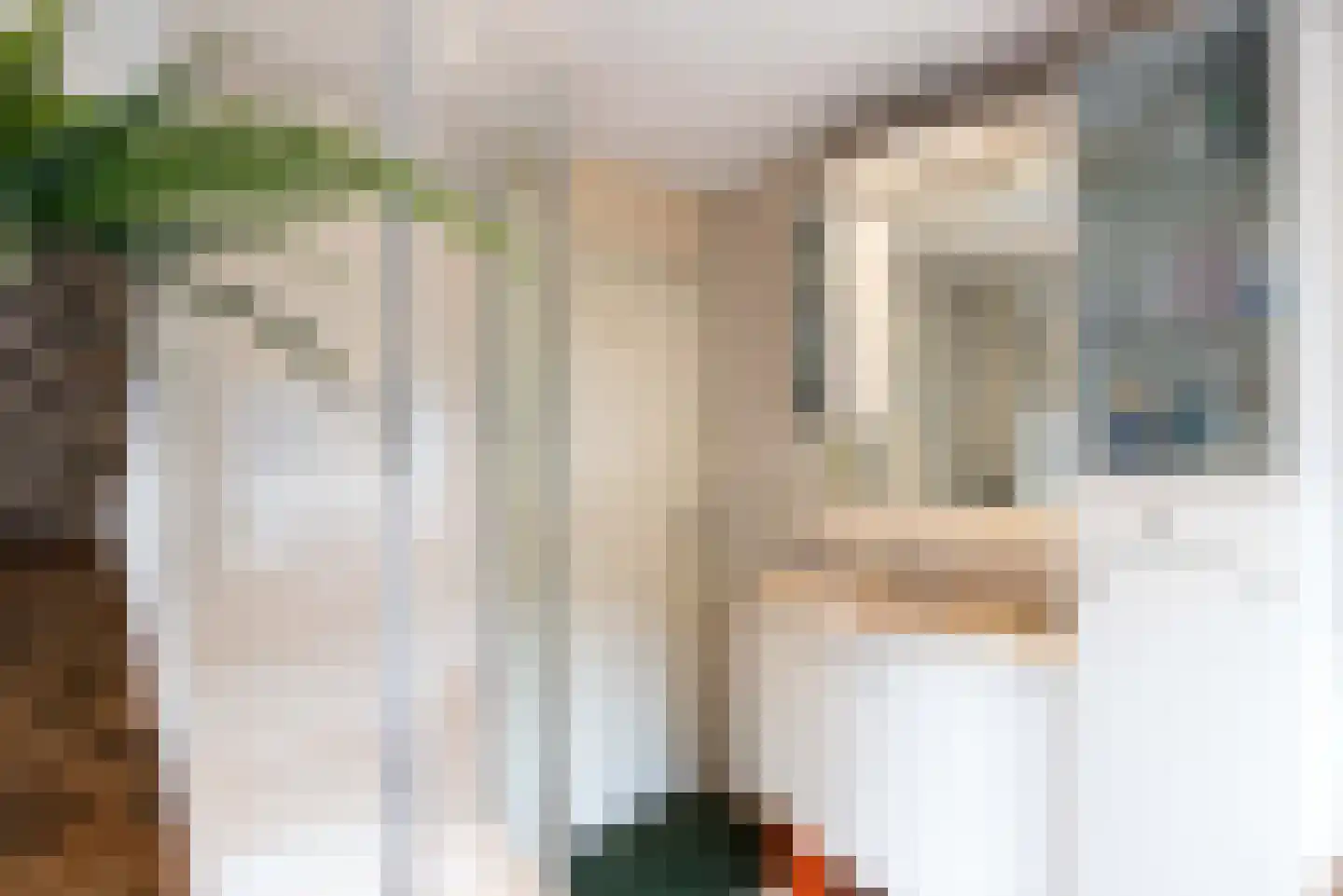 Clasinadreef 13 Tilburg thumbnail 42