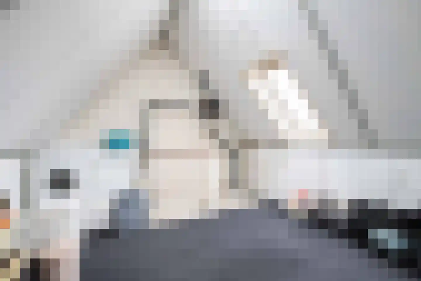 Clasinadreef 13 Tilburg thumbnail 45