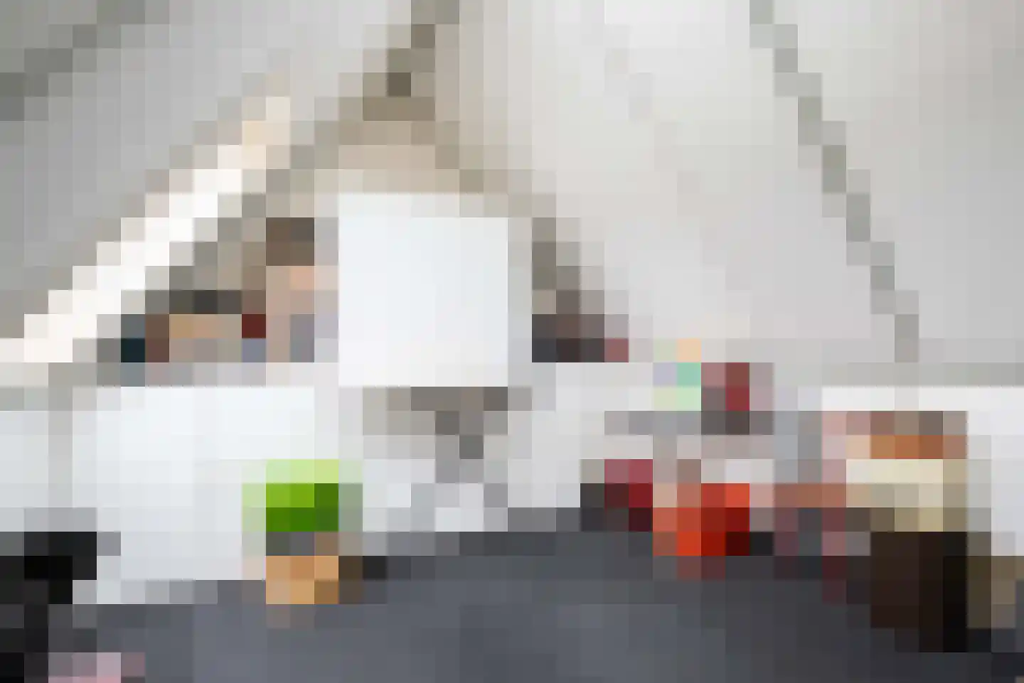 Clasinadreef 13 Tilburg thumbnail 47