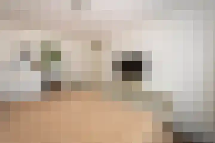 Clasinadreef 32 Tilburg thumbnail 24